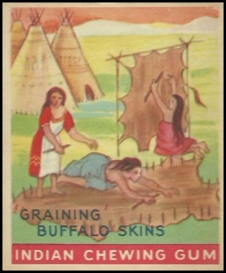 98 Graining Buffalo Skins